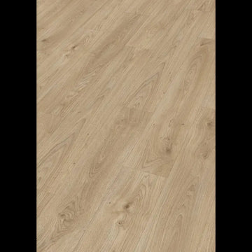 Dab czysty relax 07113 - LD 250