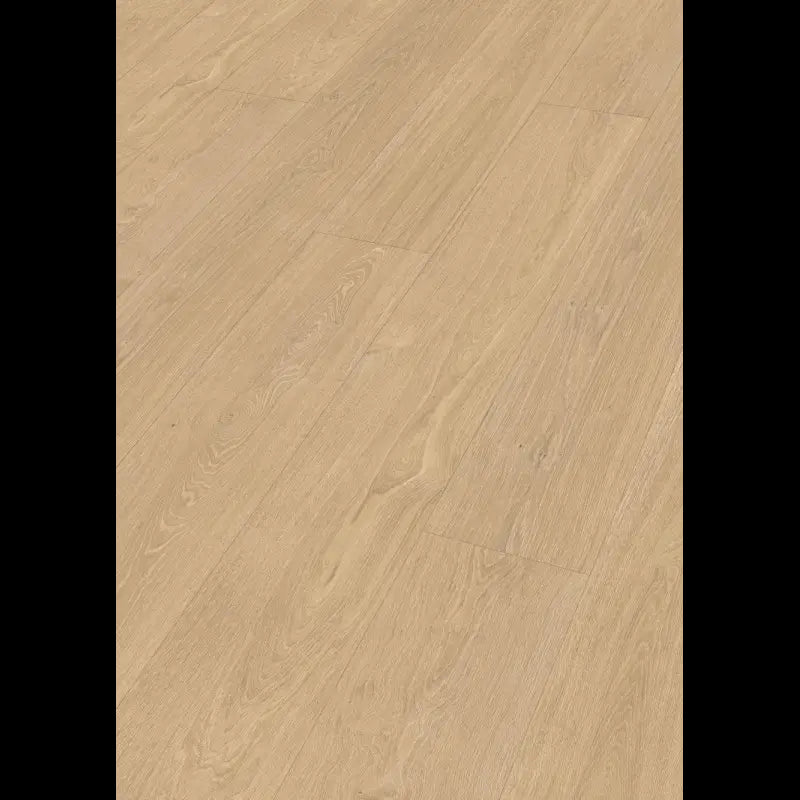 Dab dolinny jasny 07144 - LL 250