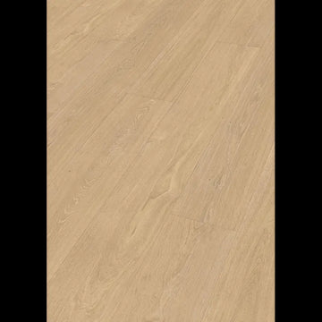 Dab dolinny jasny 07144 - LL 250