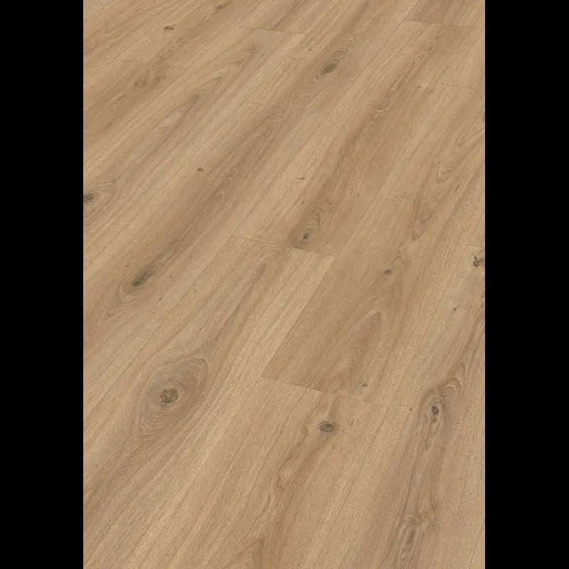 Dab fontannowy czysty 07152 - LD 200