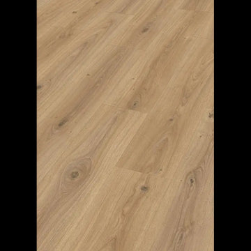 Dab fontannowy czysty 07152 - LD 200