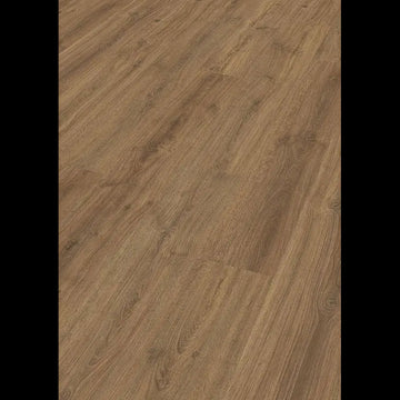 Dab Muscat 06416 - LC 150