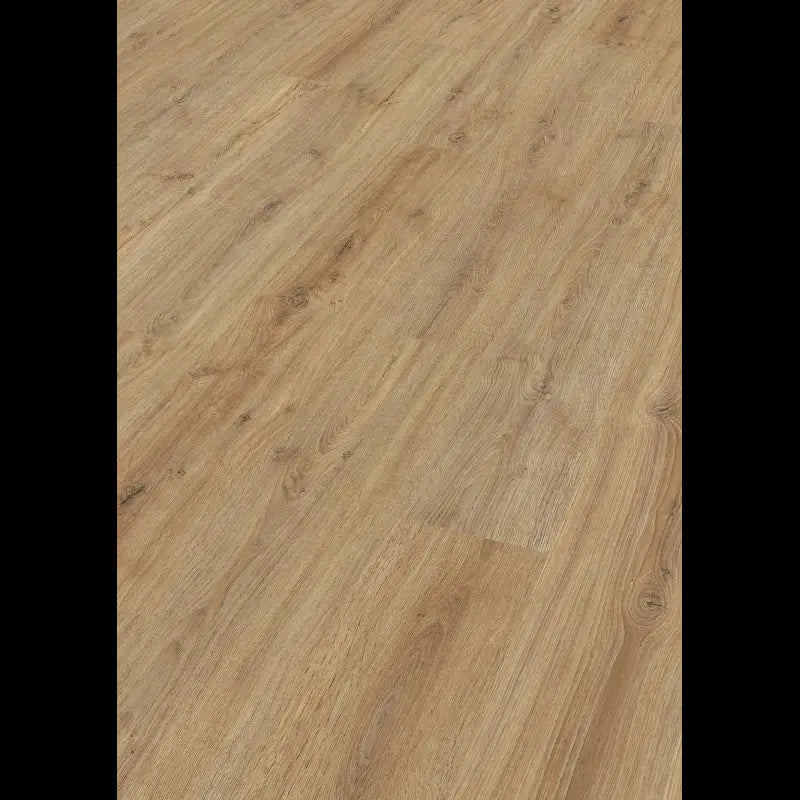 Dab Nova 06413 - LC 150