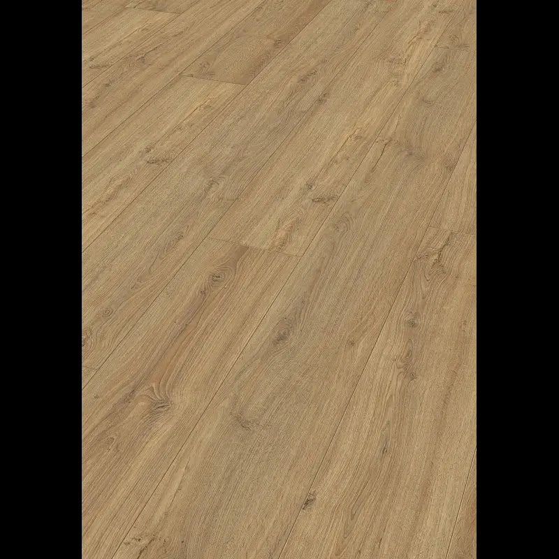 Dab Nova 06413 - LL 150