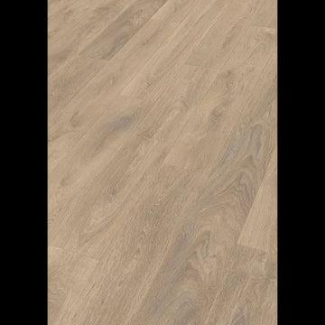 Dab piaskowy 07004 - LD 150