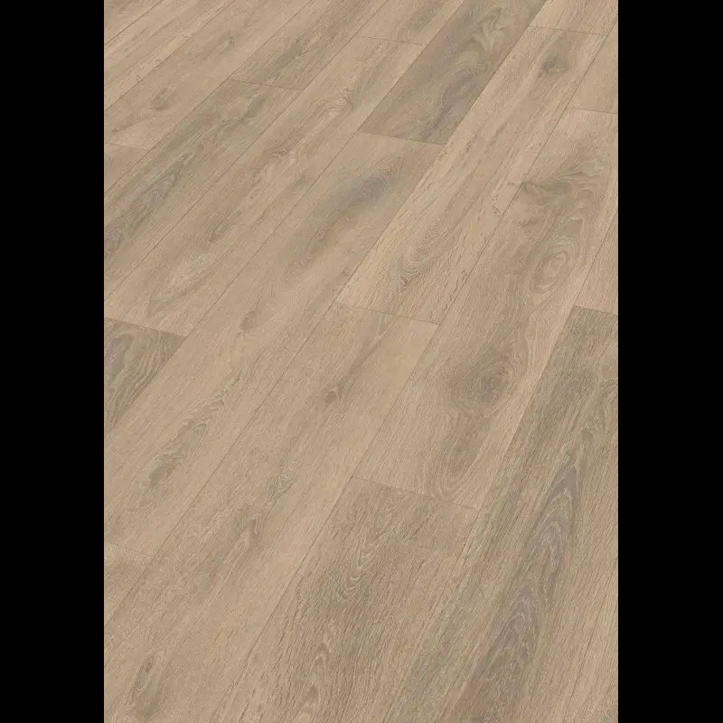 Dab piaskowy 07004 - LD 250