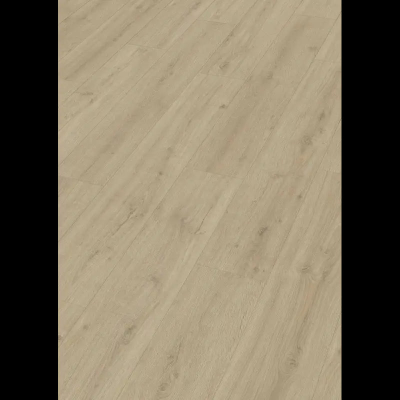 Dab skalny piasek 07122 - LD 250