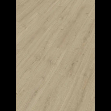 Dab skalny piasek 07122 - LD 250