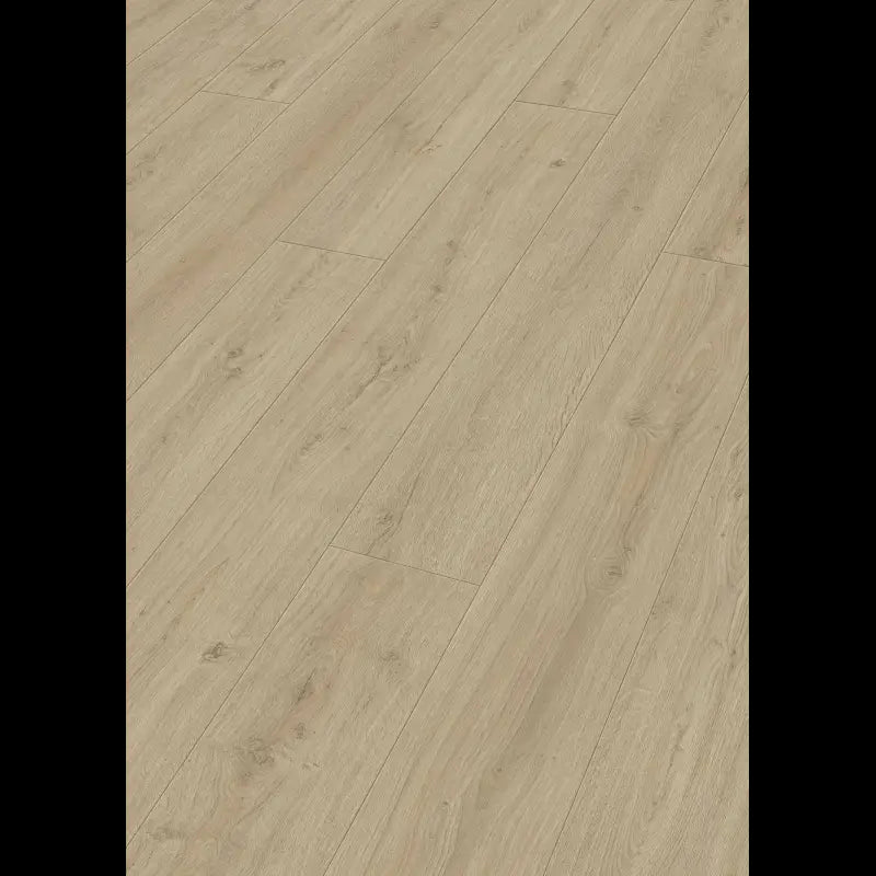 Dab skalny piasek 07122 - LL 150