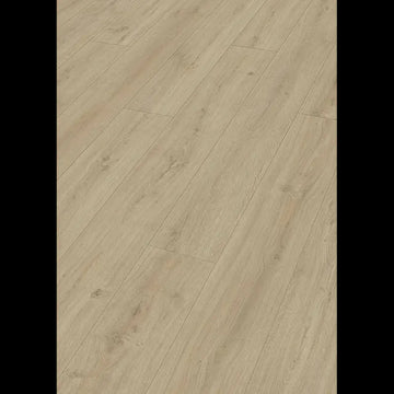 Dab skalny piasek 07122 - LL 150