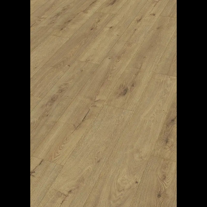 Dab szampan 07001 - LD 150