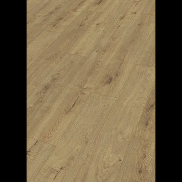 Dab szampan 07001 - LD 150