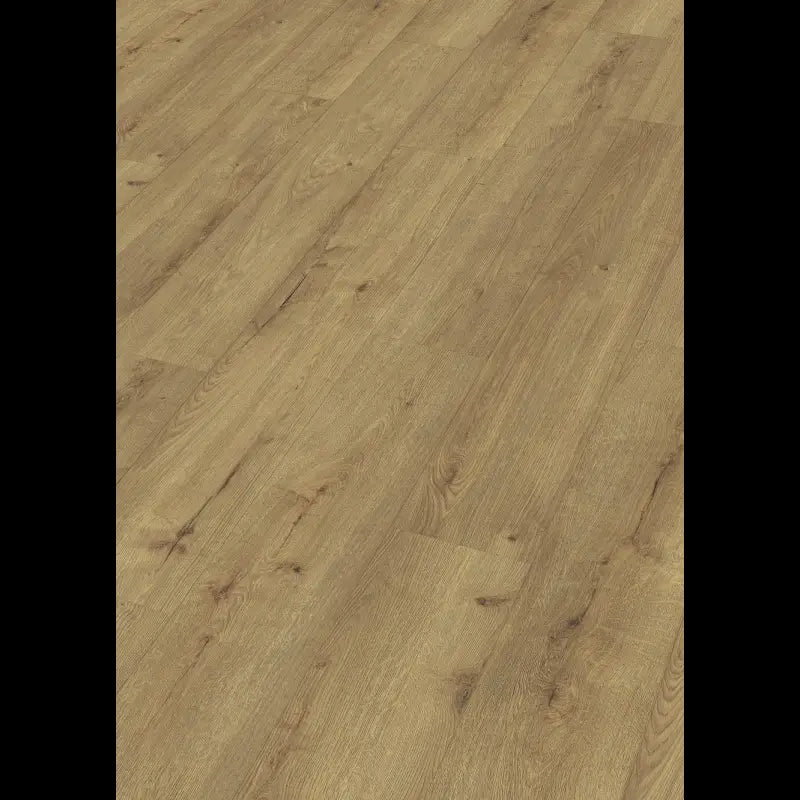 Dab szampan 07001 - LD 250