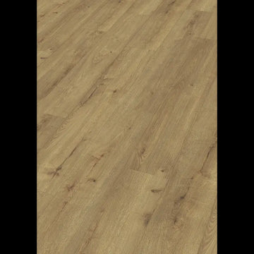 Dab szampan 07001 - LD 250