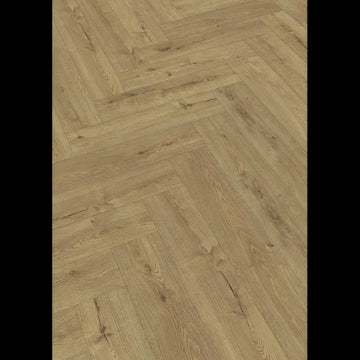 Dab szampan 07001 - LS 350