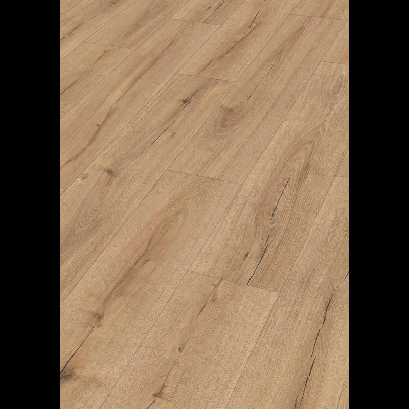 Dab wilczy 07146 - LD 200