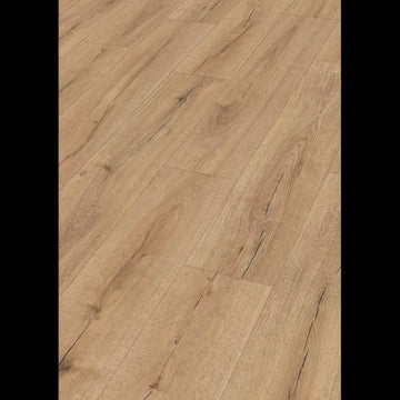 Dab wilczy 07146 - LD 200