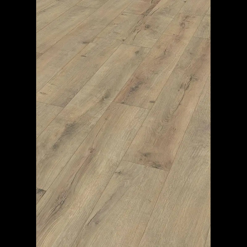 Dab z peknieciami Terra 06439 - LD 150