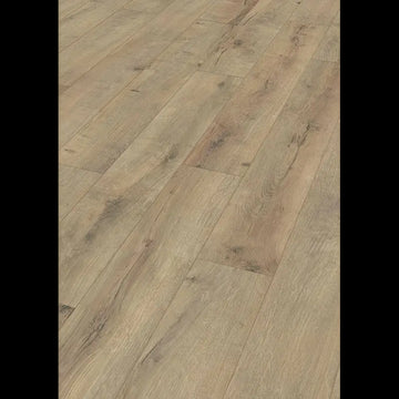 Dab z peknieciami Terra 06439 - LD 150