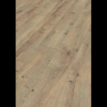 Dab z peknieciami Terra 06439 - LL 150