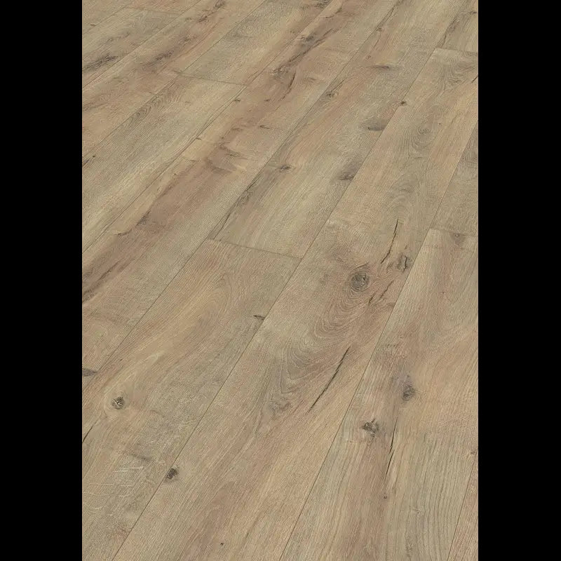 Dab z peknieciami Terra 06439 - LL 150