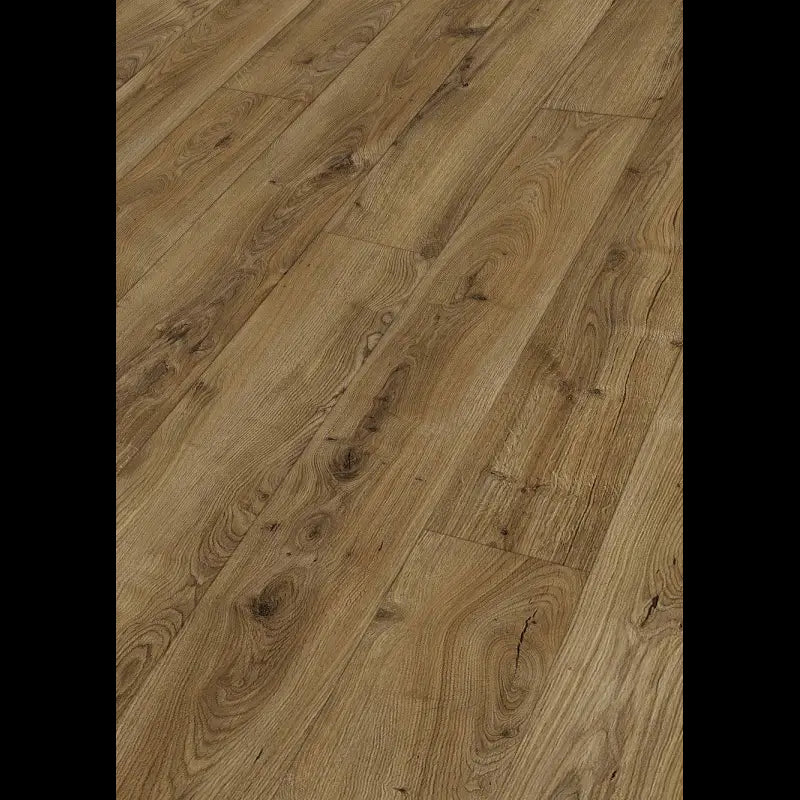 Dab zamkowy muskat 07130 - LL 250