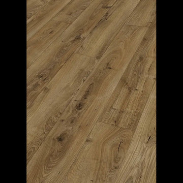 Dab zamkowy muskat 07130 - LL 250