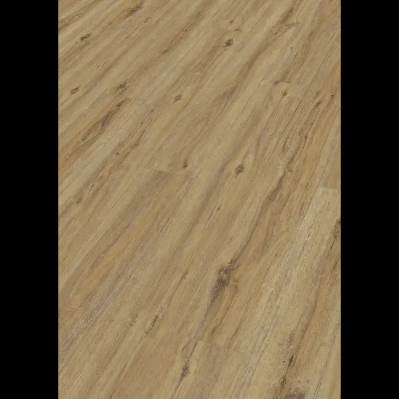 Dab Campside 7403 Rigid RL 400S