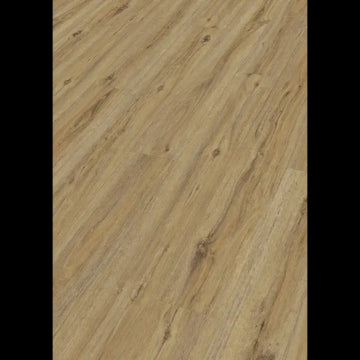 Dab Campside 7403 Rigid RL 400S