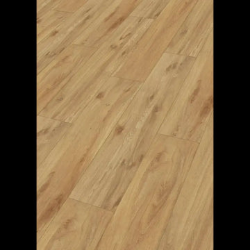 Dab Low Field 7392 Rigid RD 300S