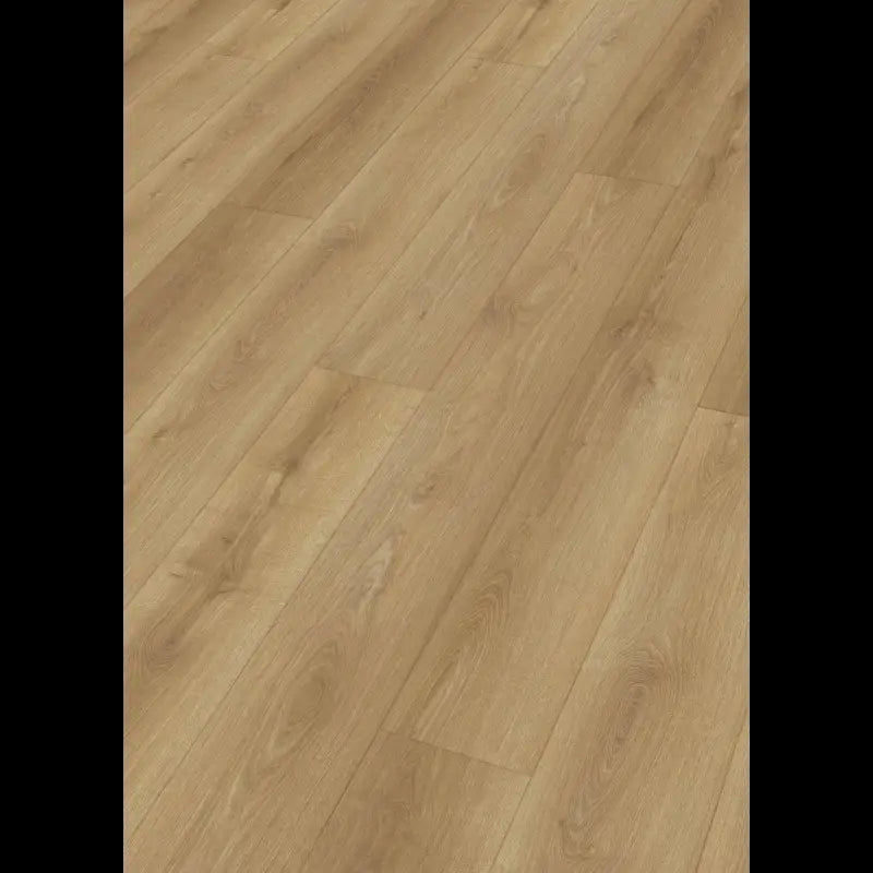 Dab Natural spring 7431 Rigid RL 400S