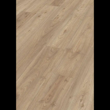 Kingdom oak 06899 - LD 200