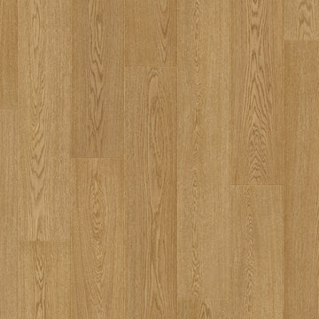 Dąb Sztokholmski - Arendal pro