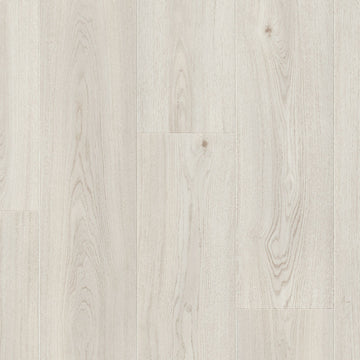 Dąb Sól Morska - Stavanger