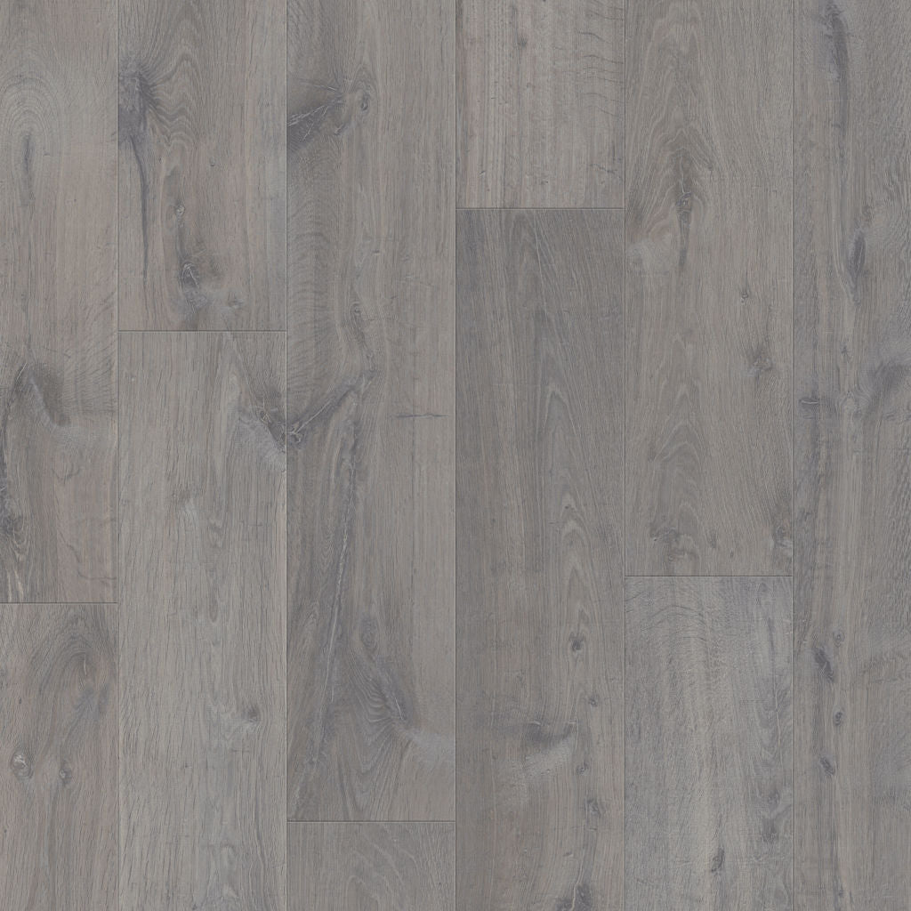 Dąb Miejski Szary - Visby pro