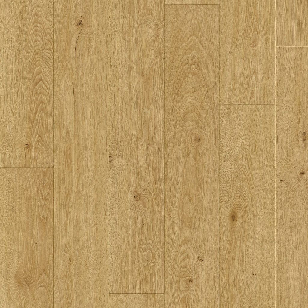 Dąb Solstycja - Odense pro