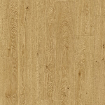 Dąb Solstycja - Odense pro