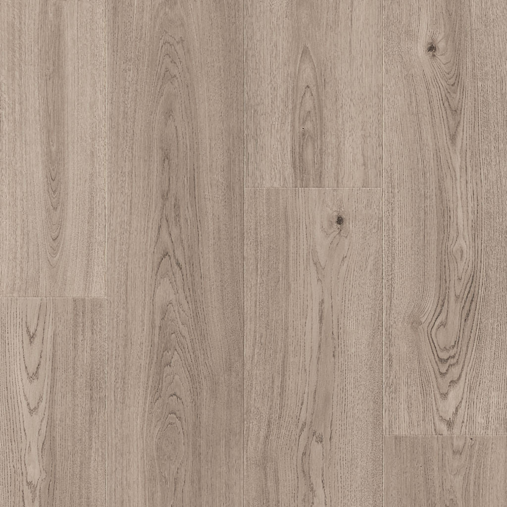 Dąb Północny - Stavanger