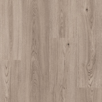 Dąb Północny - Stavanger