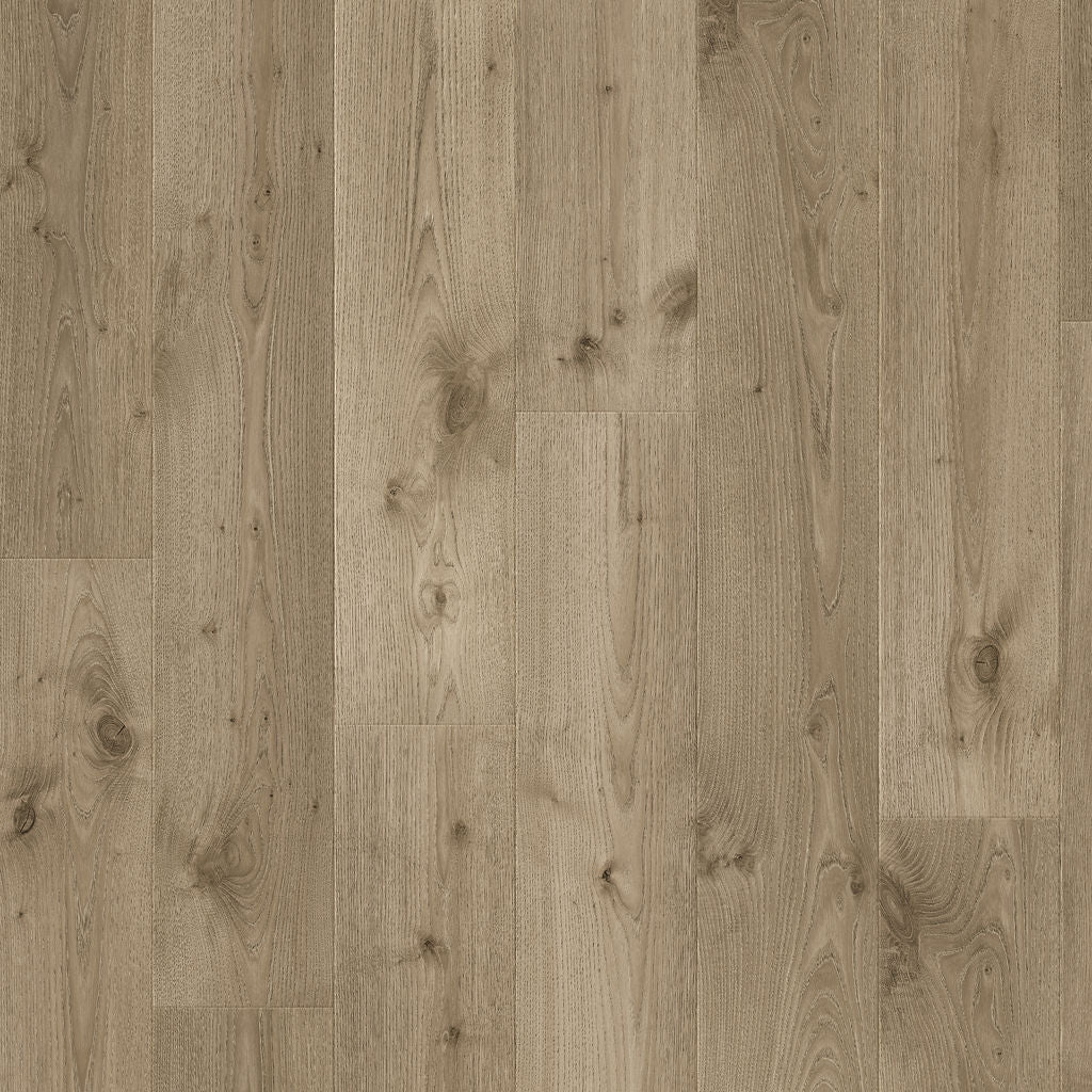 Dąb Łąkowy - Arendal pro