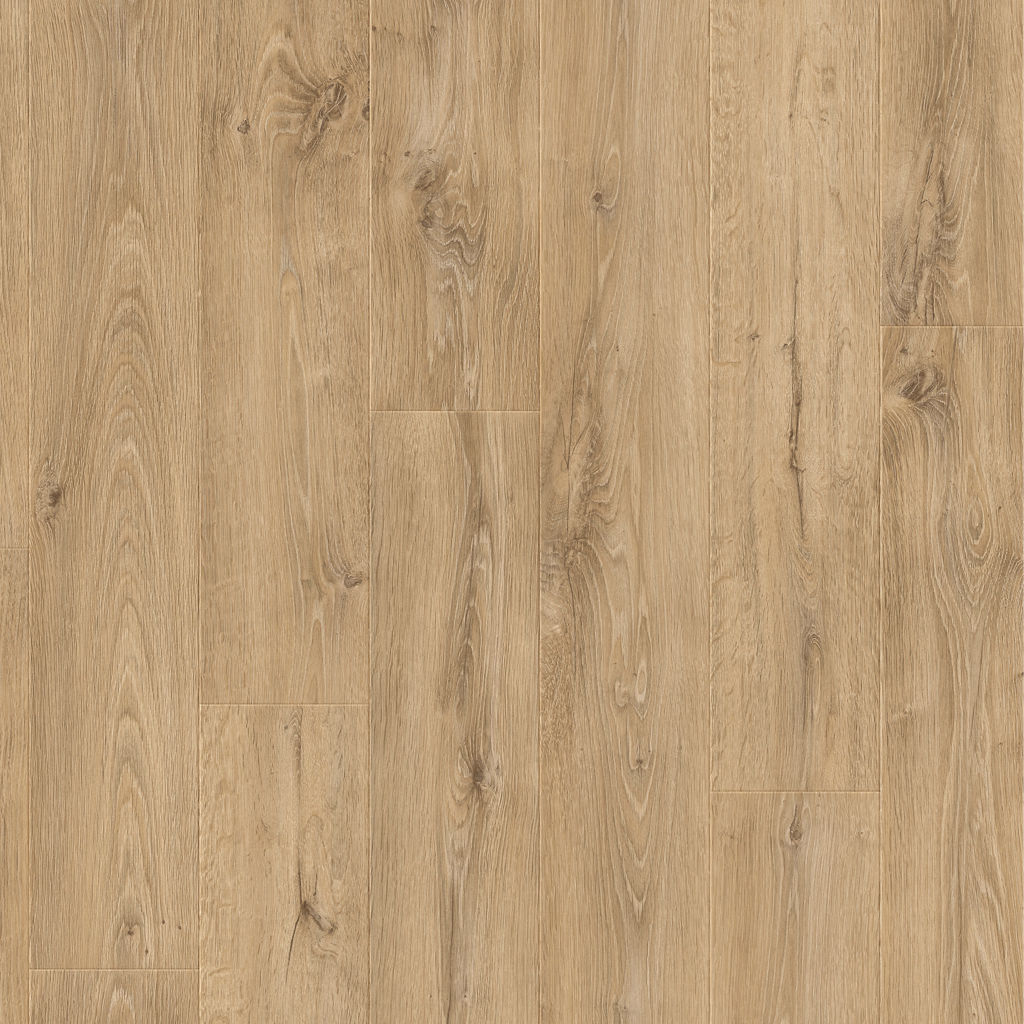 Dąb Wrzosowiskowy - Arendal