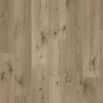 Dąb Łąkowy - Arendal