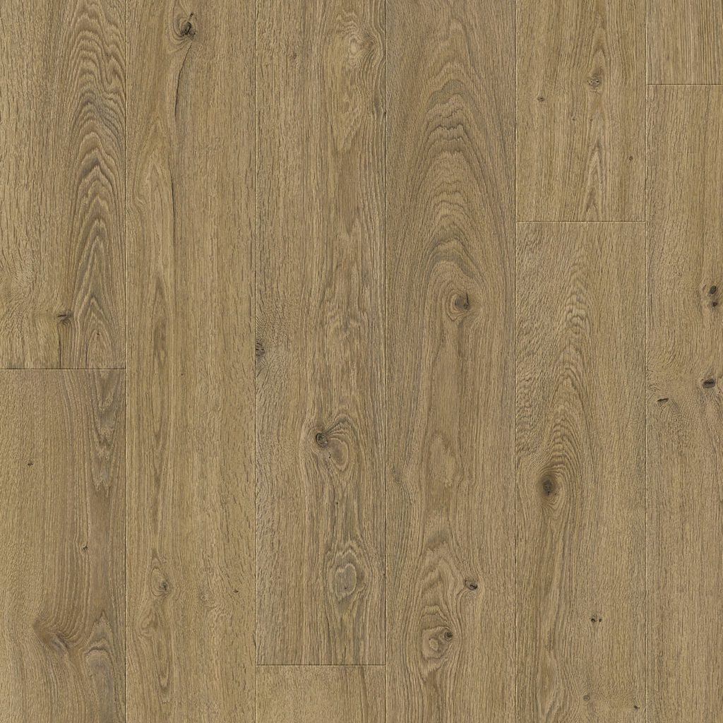 Dąb Beauforta - Odense