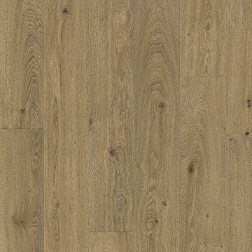 Dąb Beauforta - Odense