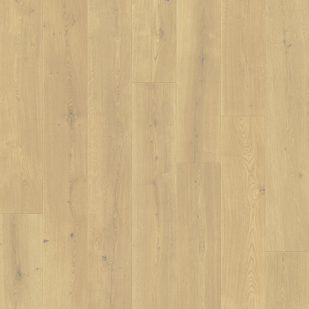 Dąb Zachmurzony - Odense pro