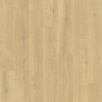 Dąb Zachmurzony - Odense pro