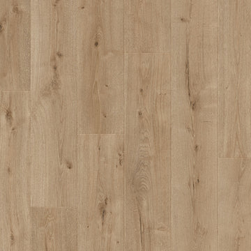 Dąb Tundrowy - Arendal