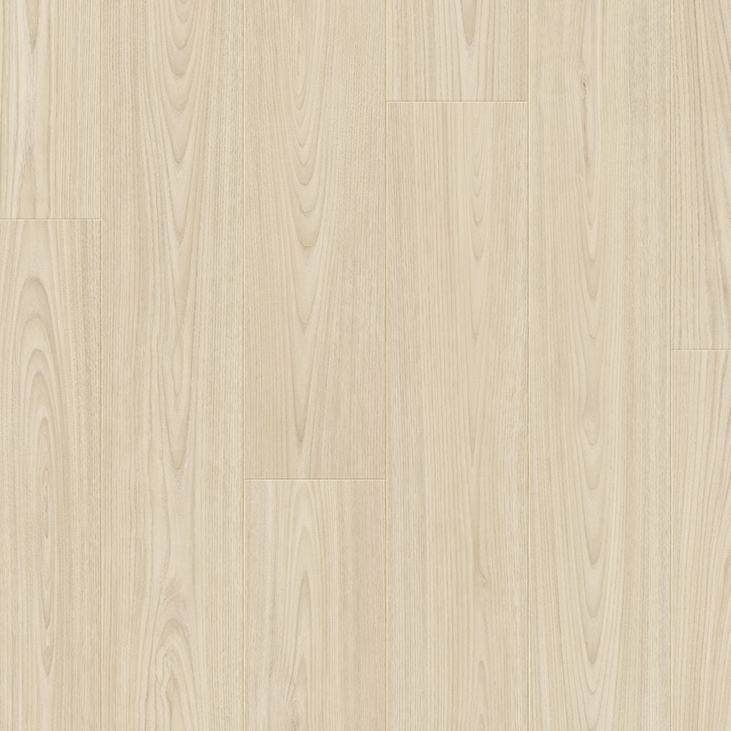 Dąb Tromsdalen - Bergen pro