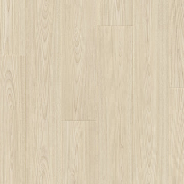 Dąb Tromsdalen - Bergen pro