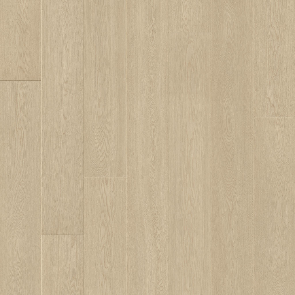 Dąb Gliniasty - Odense